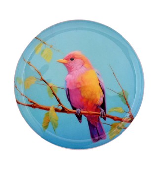 GIFTCOMPANY, Dekotablett Vogel