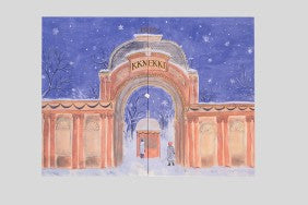 Adventskalender mirt 24 Türchen und 40 Haargummis 