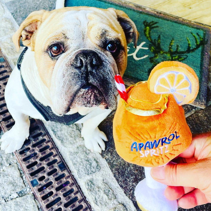 HAUTE DIGGITY DOG, HUNDESPIELZEUG Plüsch mit Quieker, Modell APAWROL SPRITZ