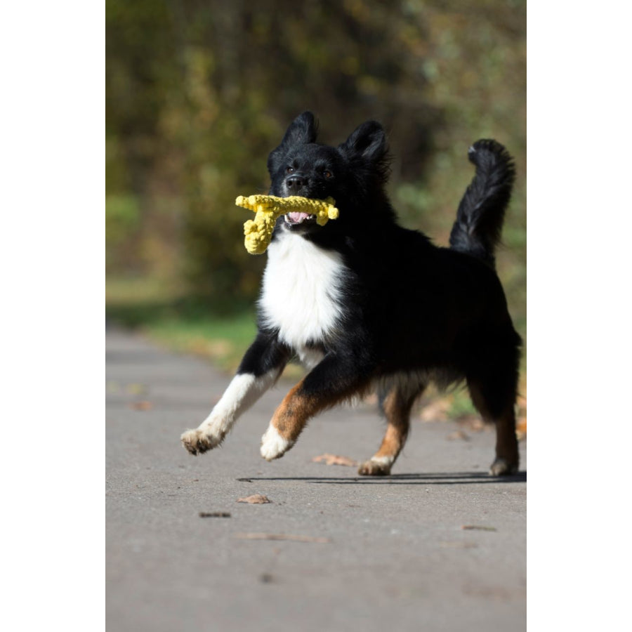 LABONI Hundespielzeug Greta Giraffe