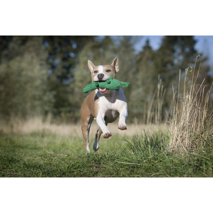 LABONI Hundespielzeug Kalli Krokodil